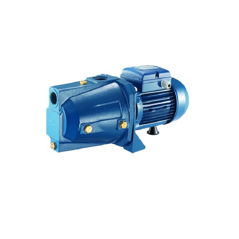 Bomba de Superfície Pentax CAM 100