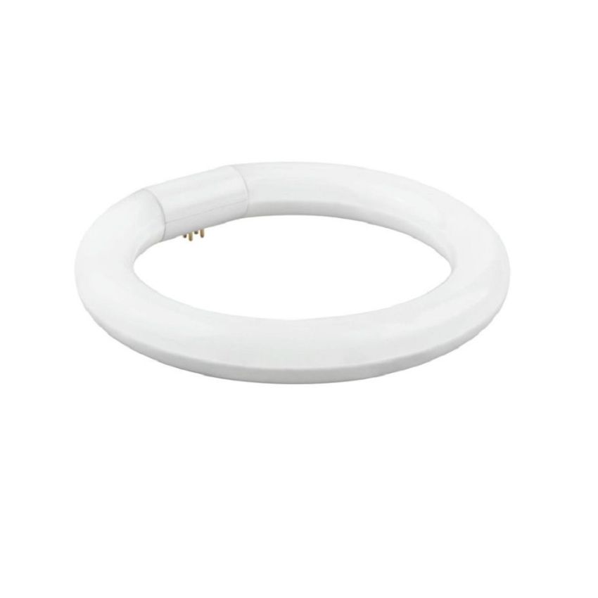 Lampada LED 15W 6400K Circular MATEL