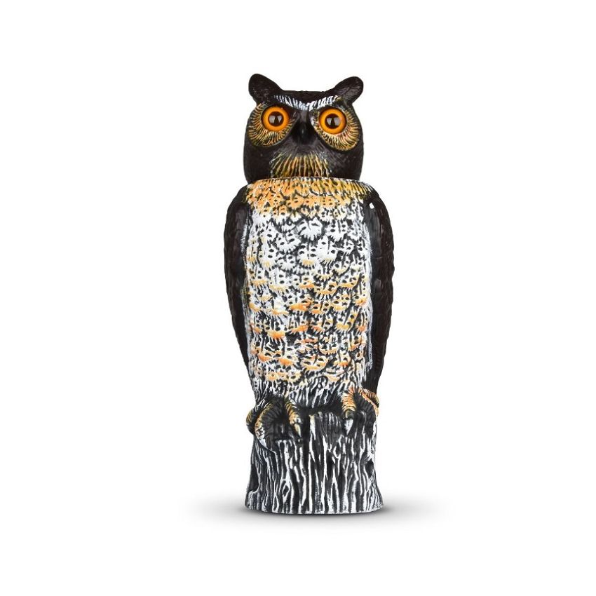 Coruja Espanta Pássaros 